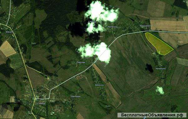 Участок 34.17 Га в Непейцино сельхозназначения