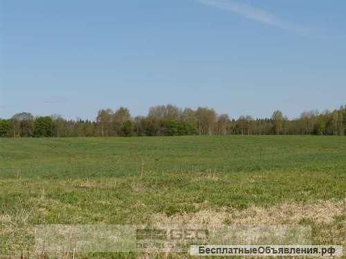 Земля сельхозназначения 2 Га в Ватолино