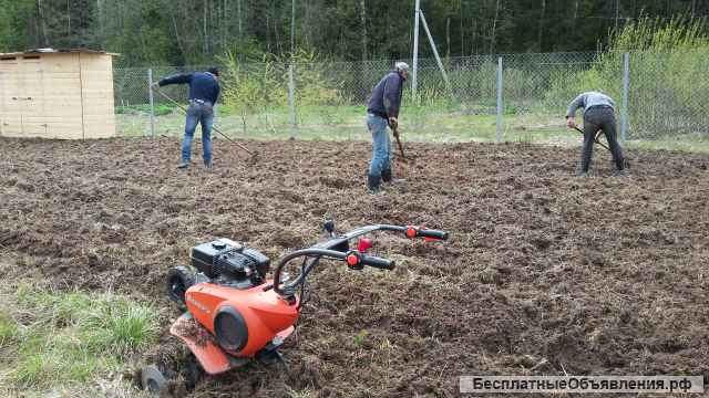 Вспашка Целина Мотоблок Газоны Культивирование