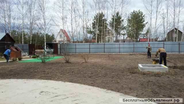 Вспашка Целина Мотоблок Газоны Культивирование