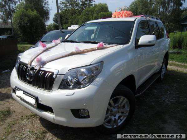 Прокат свадеб, Торжеств, Юбилеев