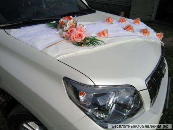 Прокат свадеб, Торжеств, Юбилеев