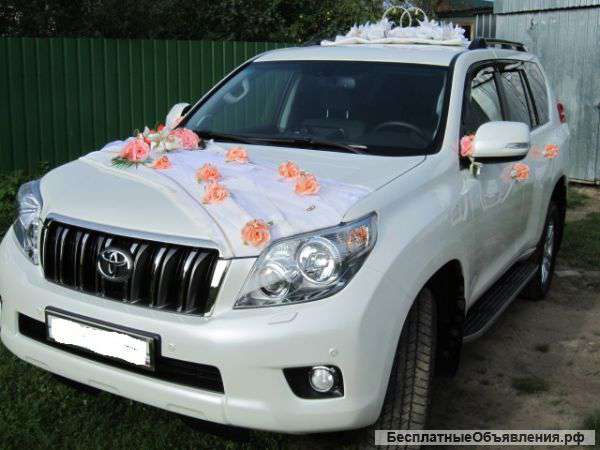 Прокат свадеб, Торжеств, Юбилеев