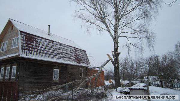 Спил деревьев, Корчевание