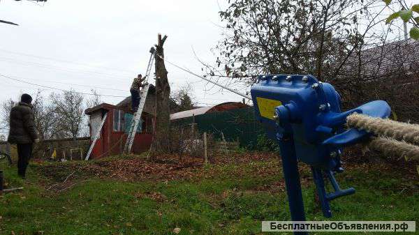 Спил деревьев, Корчевание