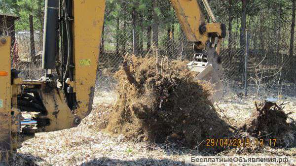 Спил деревьев, Корчевание