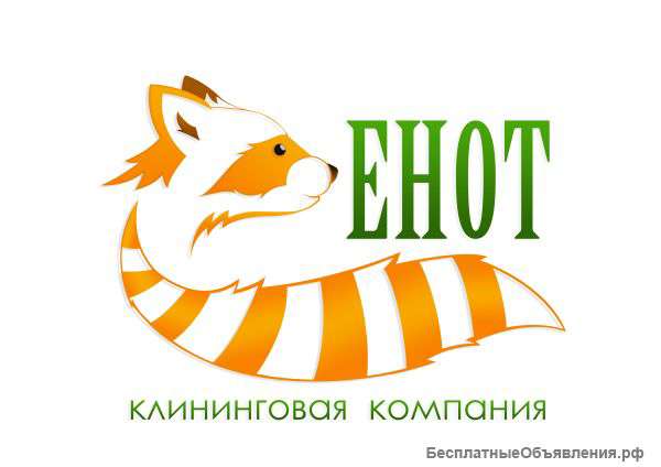 Генеральная и ежедневная уборка