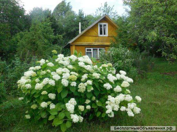 Отличое загородное место с домом