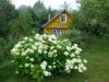Отличое загородное место с домом