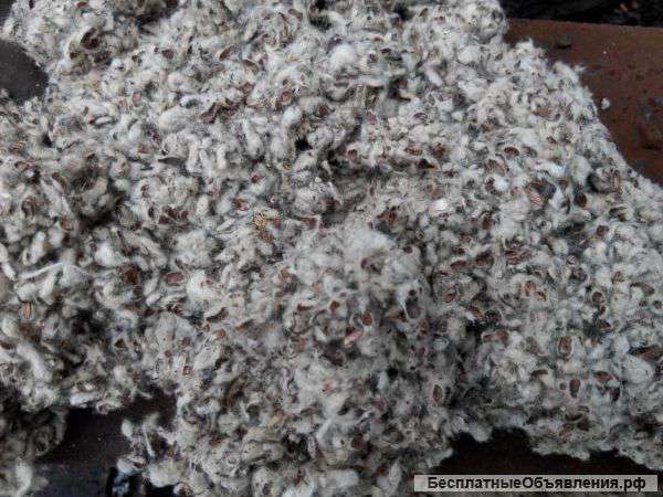 Хлопковая шелуха