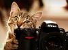 Создаю поздравительные и рекламные видеоальбомы, фотопрезентации