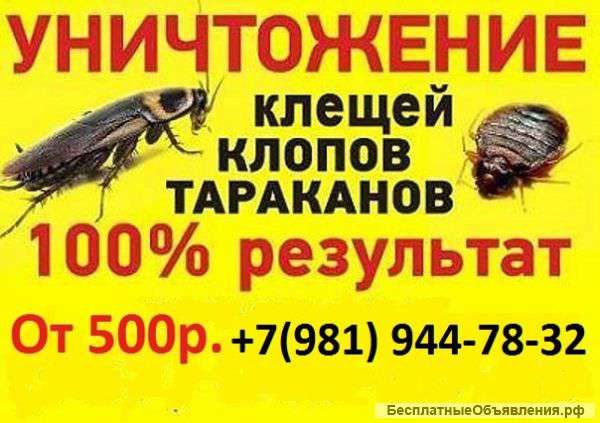 Городская Станция Дезинфекции
