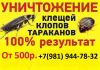 Городская Станция Дезинфекции