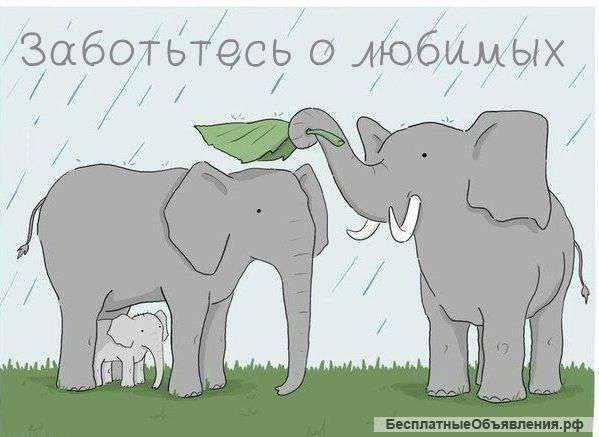 Ищу работу сиделки