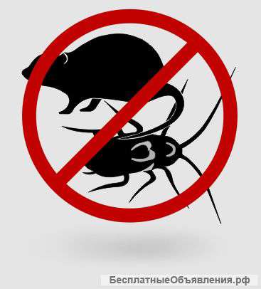 Уничтожение клопов, тараканов, блох, муравьев