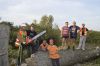 Спилить дерево, спилить сложное дерево