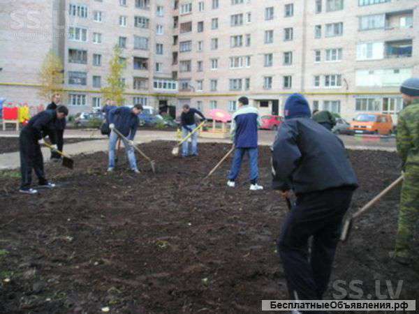 Бригада разнорабочих
