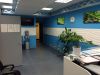 Офисное помещение, 167 м²