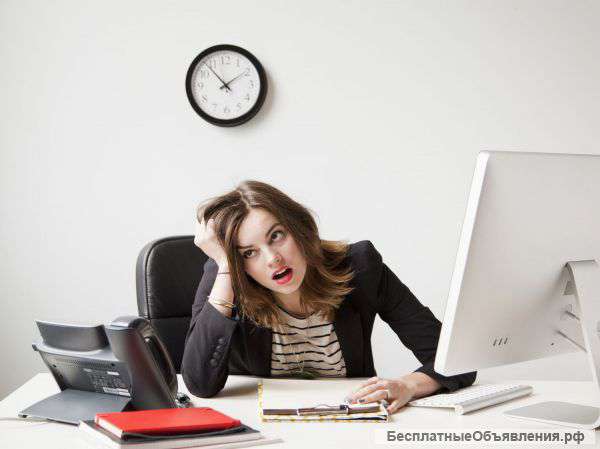Торговый представитель товаров (расчет в конце дня)