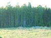 Участок во Всеволожском районе