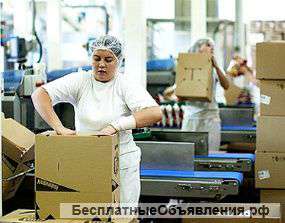 Упаковщик