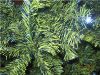 Новая искусственная елка высотой 180