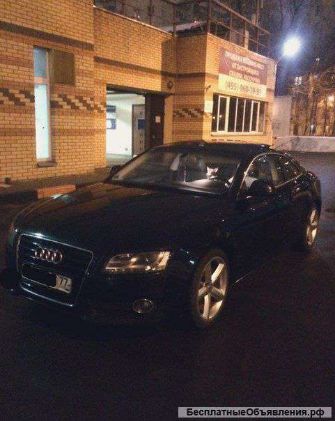 Audi A5 S-line