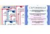 3 комнатную квартиру через агентство Беговая