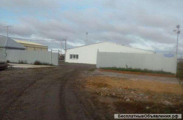 Сдам в аренду площади от собственника 1900 кв.м