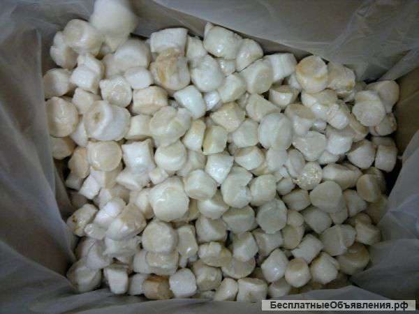 Филе морского гребешка