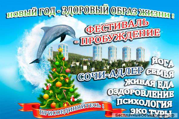 Новогодний фестиваль в городе Сочи