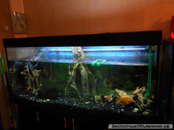 Аквариумы 2шт., Большие, с Тумбами и Оборудованием