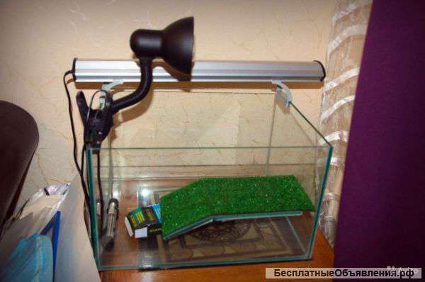 Акватеррариум на 60 литров в полном комплекте