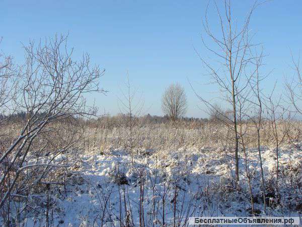 Участок 15 соток