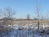 Участок 15 соток