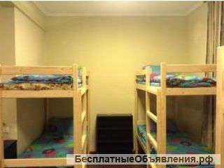 Сдам койка место