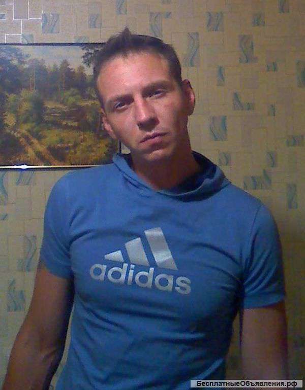 Ищу работу