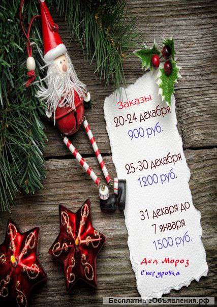 Дед Мороз и Снегурочка на дом от 900 руб