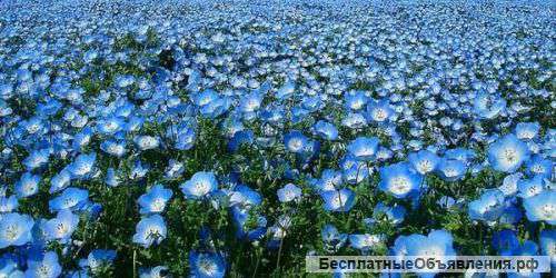 Изделия из льна