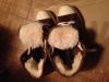 Отличные кеды Ugg