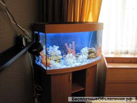 Аквариум, 250 л. + тумба + доп. оборудование