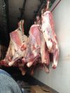 Мясо рыба птица и многое другое по оптовым ценам