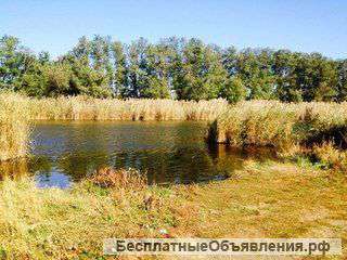 Участок в поселке Рассвет