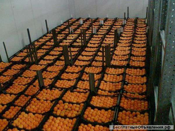 Мандарины из Грузии оптом. 20 тонн