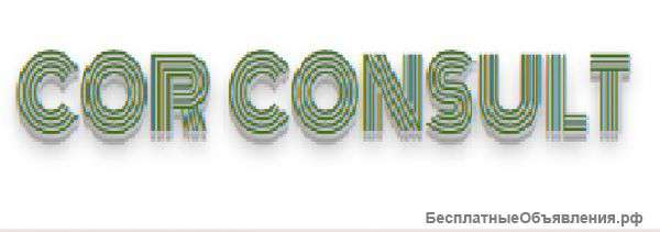 Налоговое и бухгалтерское сопровождение в Словакии