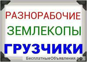 Уборка снега,Грузчики,Разнорабочие,Демонтаж гр.РФ