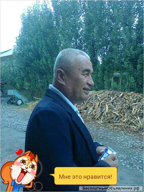 Ищу работы