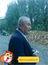 Ищу работы