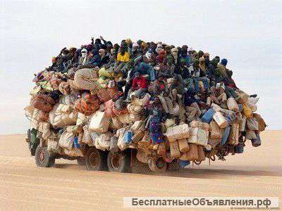 Погрузка разгрузка фур контейнеров В наличие 60 чел