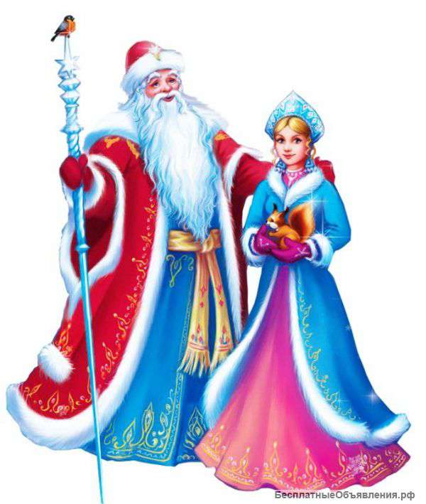 Дед Мороз и Снегурочка (на дом)